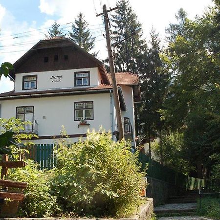 Manyi Villa BaileTusnad Exterior foto